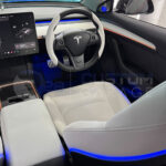 TESLA model 3 (2019-2024) door ambient lighting